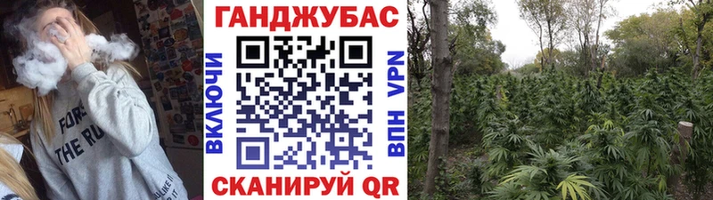 Каннабис White Widow  купить закладку  Буинск 
